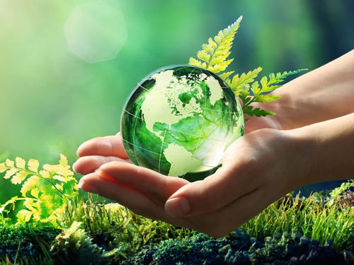 Eco-Friendly & Wellness-Oriented Living