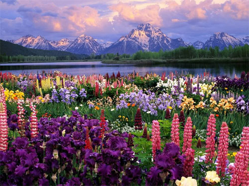 Breathtaking Natural Beauty